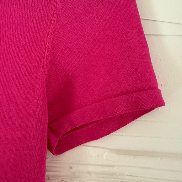 Zara Basics | Size S | Fine Knit Dark Pink Tee - Picture 5 of 7